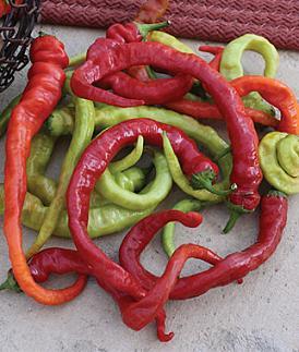 Ristra Cayenne Pepper Seeds - The Pepper Pantry (Formerly Marie Sharp's)
